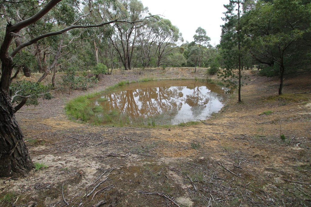 Lot 29 Lorikeet Court LAL LAL 7