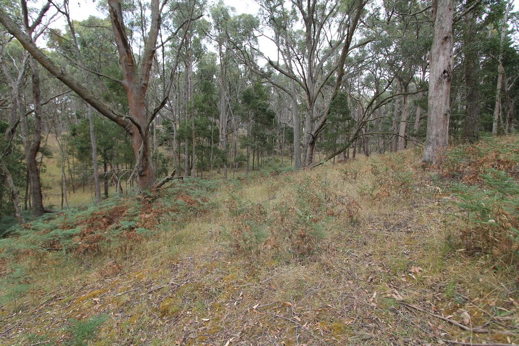 Lot 29 Lorikeet Court LAL LAL 9