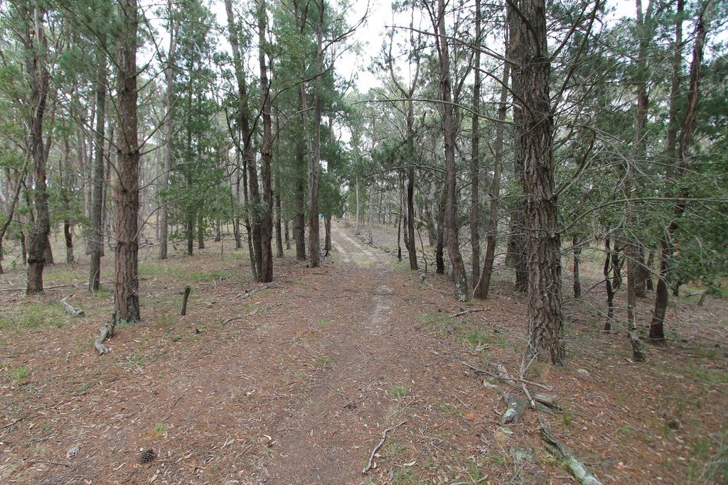 Lot 29 Lorikeet Court LAL LAL 10