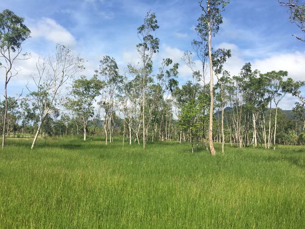 Lot 29 Richardson Road CANNON VALLEY 1
