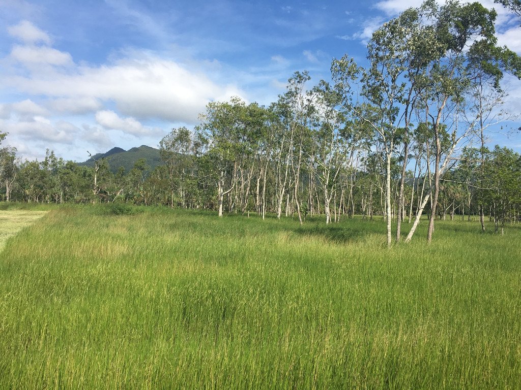 Lot 29 Richardson Road CANNON VALLEY 2