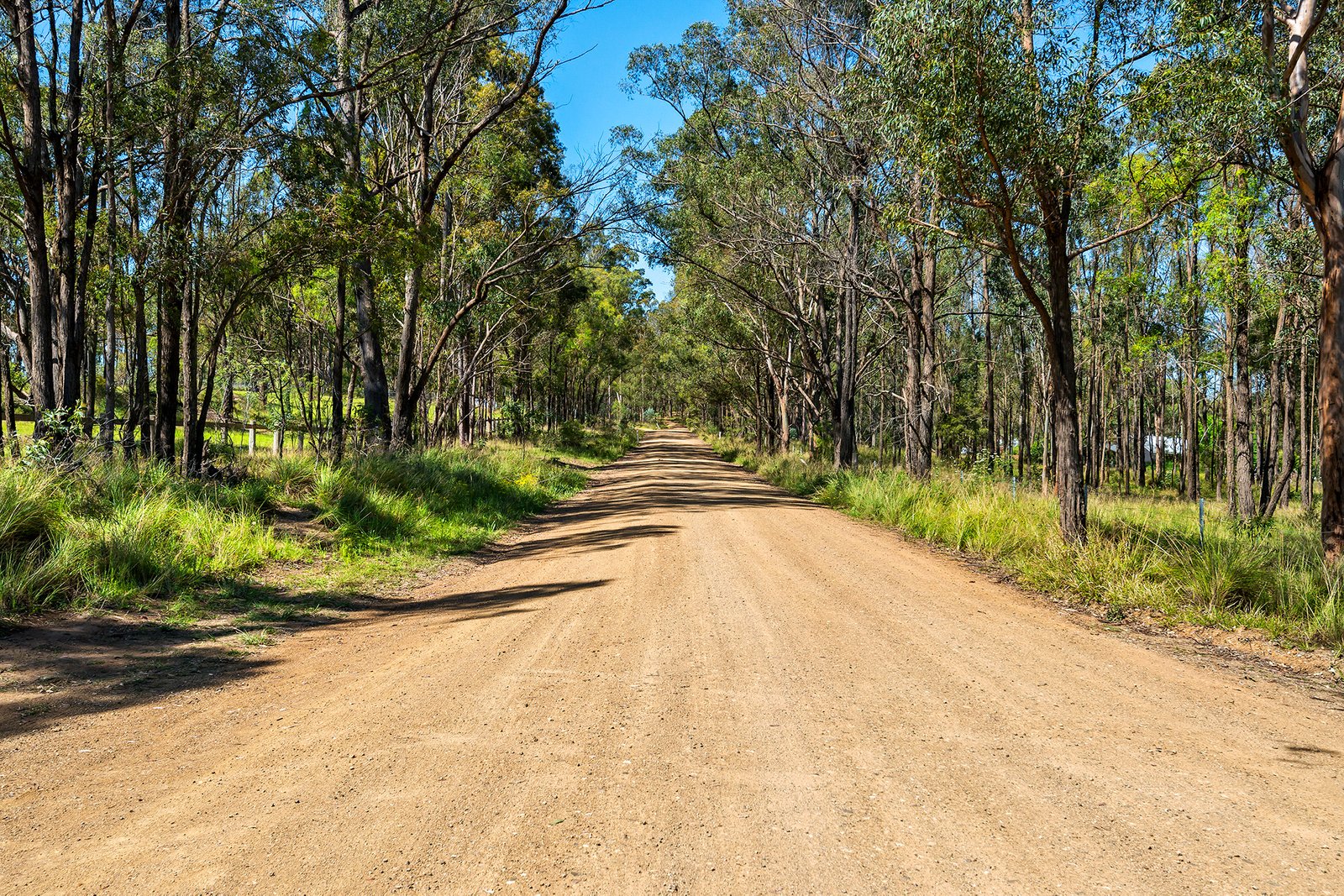 Lot 3, 1534 Wine Country Drive, North Rothbury NSW 2335