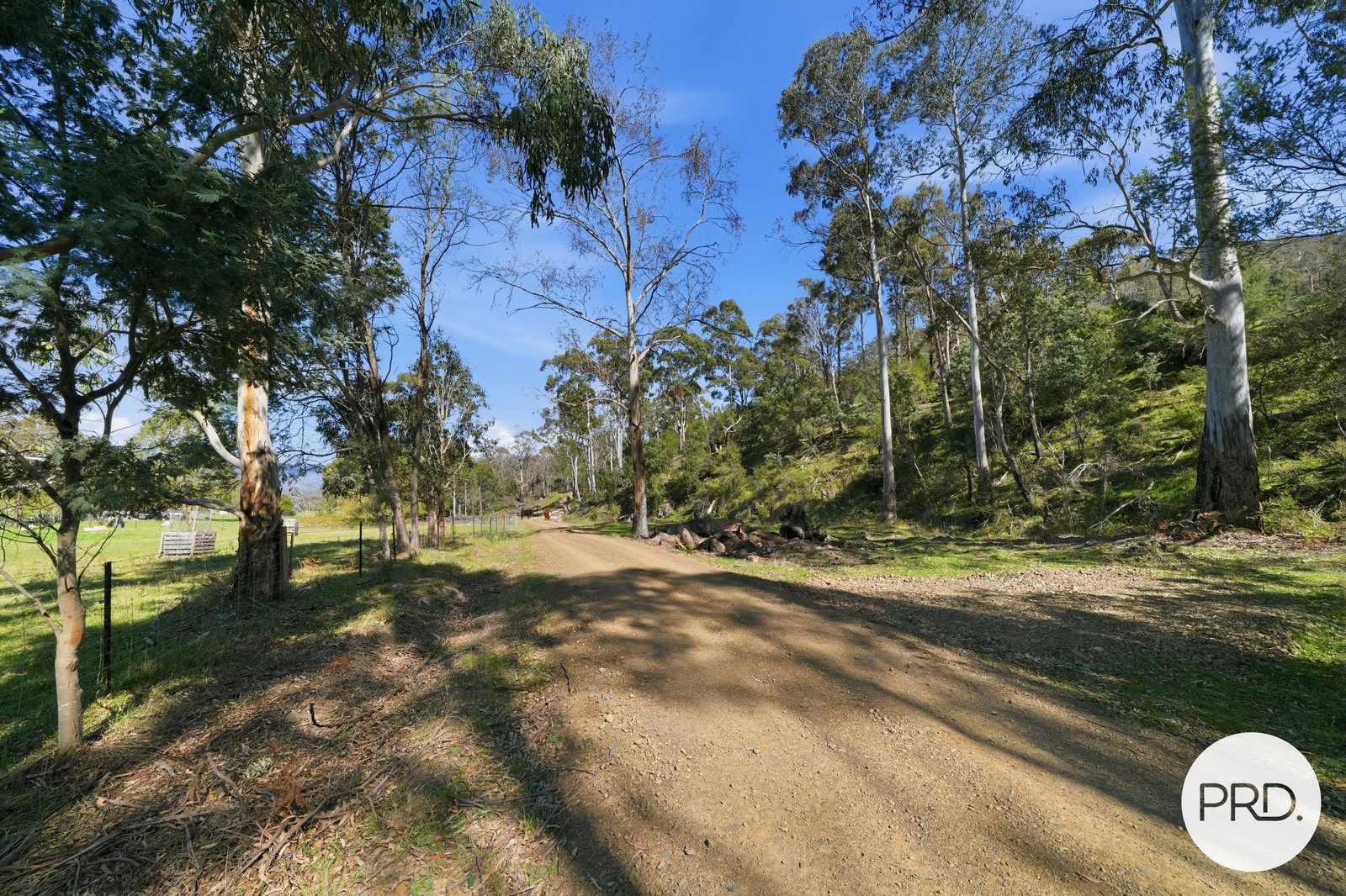 241 Daniels Road MAGRA 3