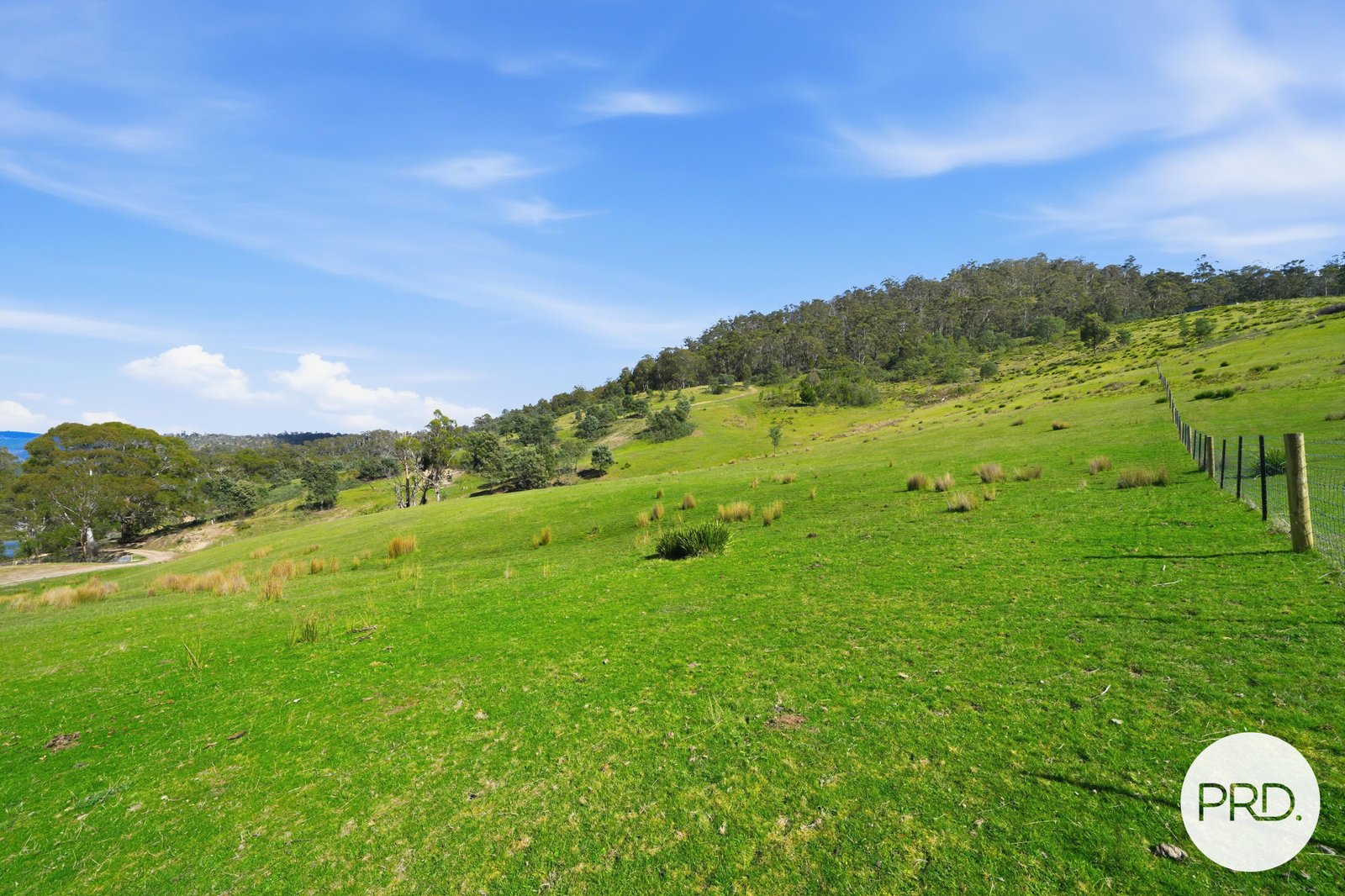 241 Daniels Road MAGRA 5