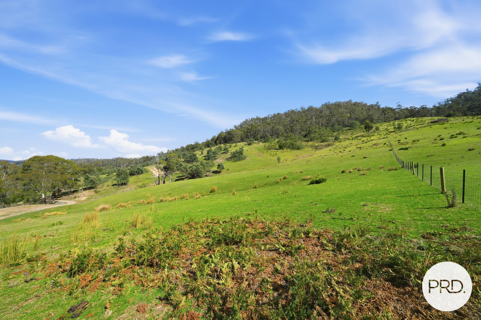 241 Daniels Road MAGRA 8