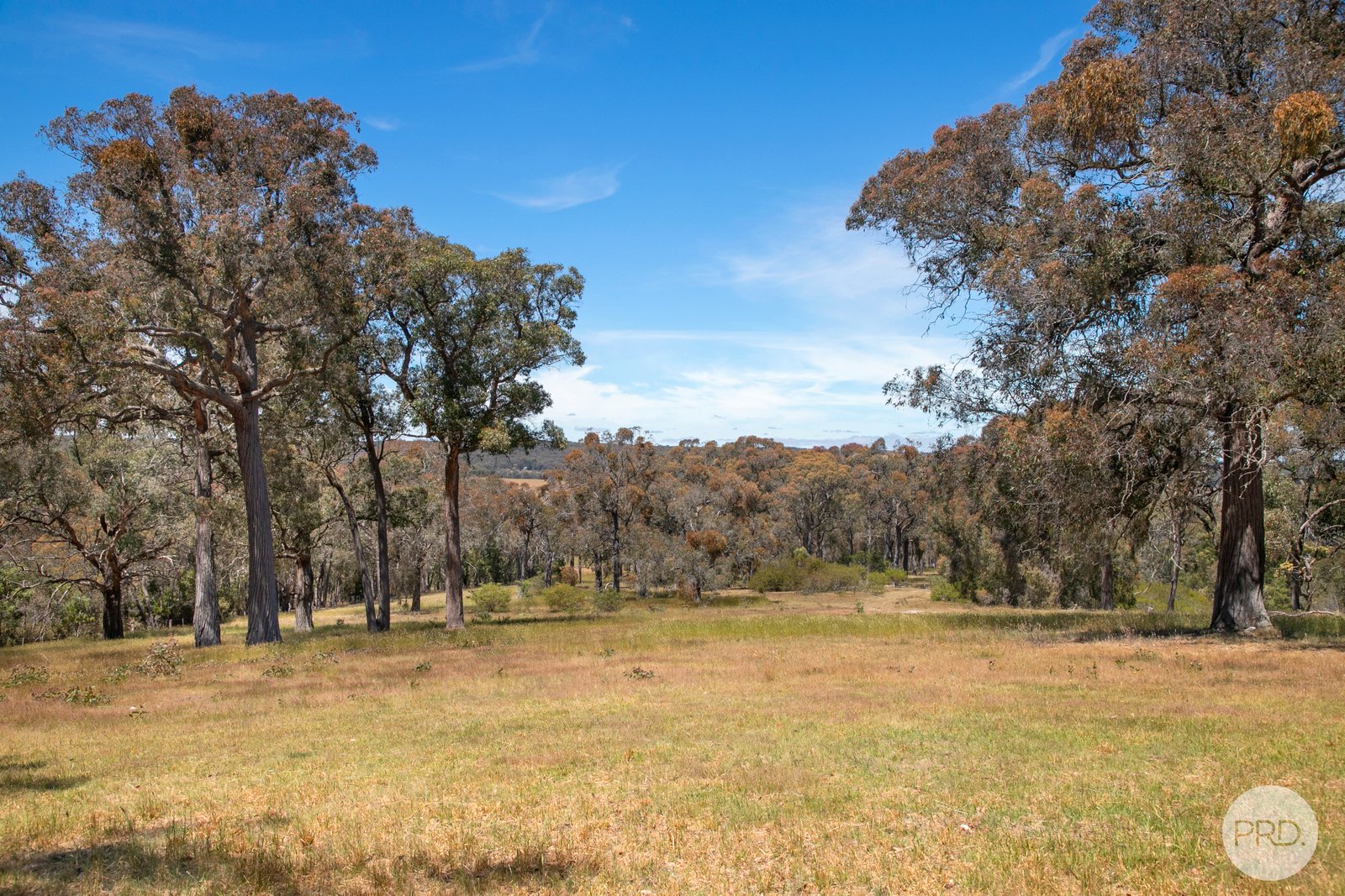 Lot 3 25 McIntoshs Lane SNAKE VALLEY 5