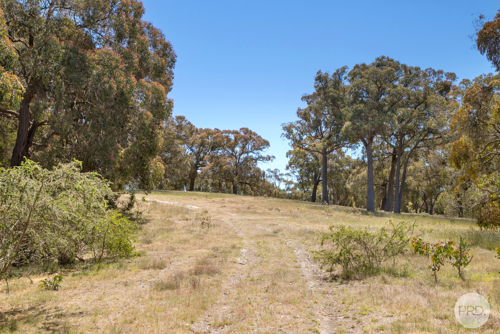 Lot 3 25 McIntoshs Lane SNAKE VALLEY 6