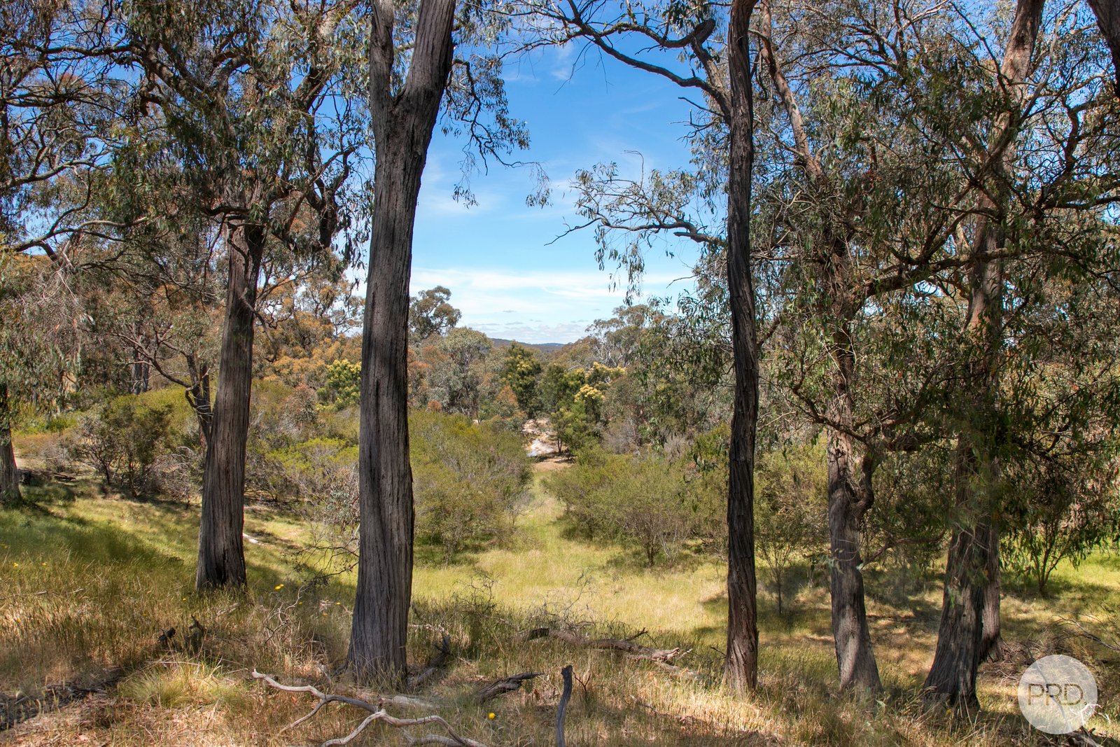 Lot 3 25 McIntoshs Lane SNAKE VALLEY 8
