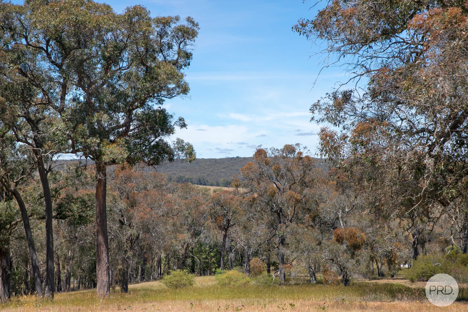 Lot 3 25 McIntoshs Lane SNAKE VALLEY 9