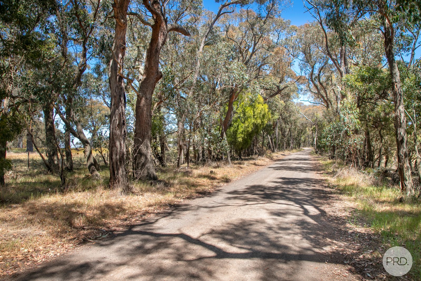 Lot 3 25 McIntoshs Lane SNAKE VALLEY 10