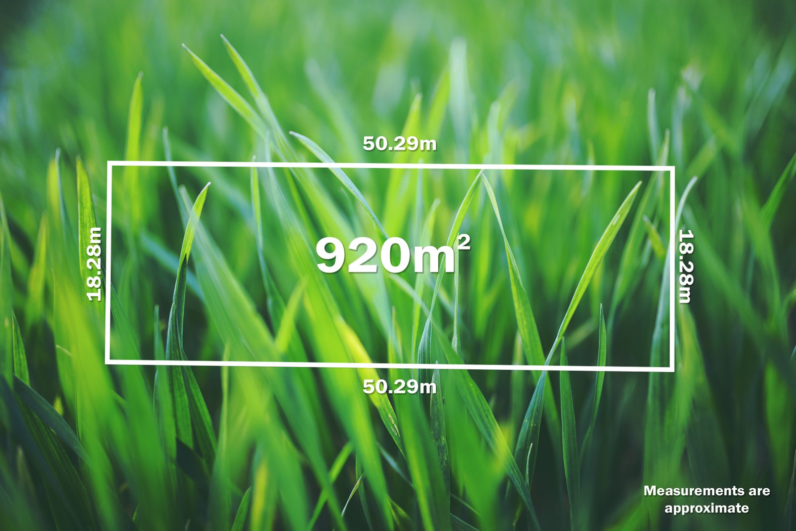 3063 Glenelg Highway LINTON 9