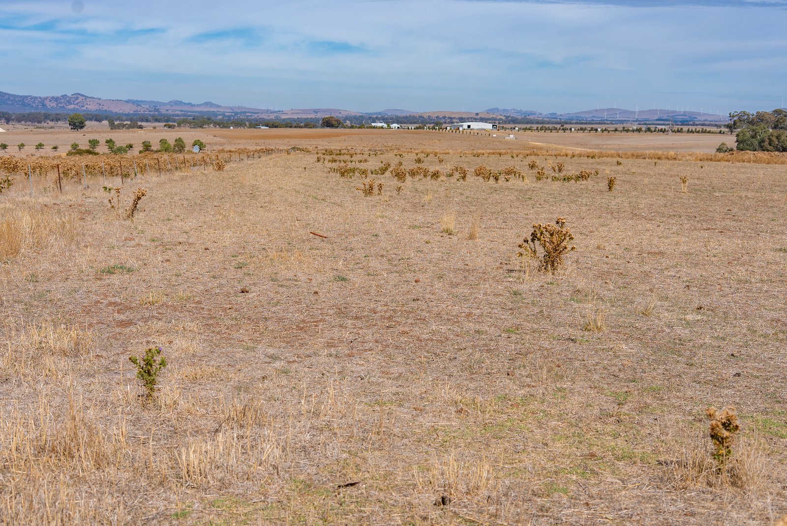 Gallery: 4695 Ballarat-Maryborough Road