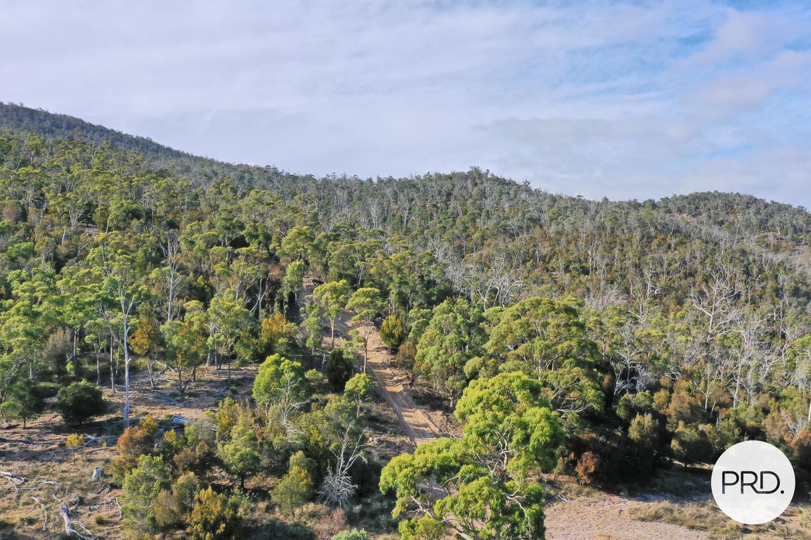 482 Molesworth Road MOLESWORTH 6