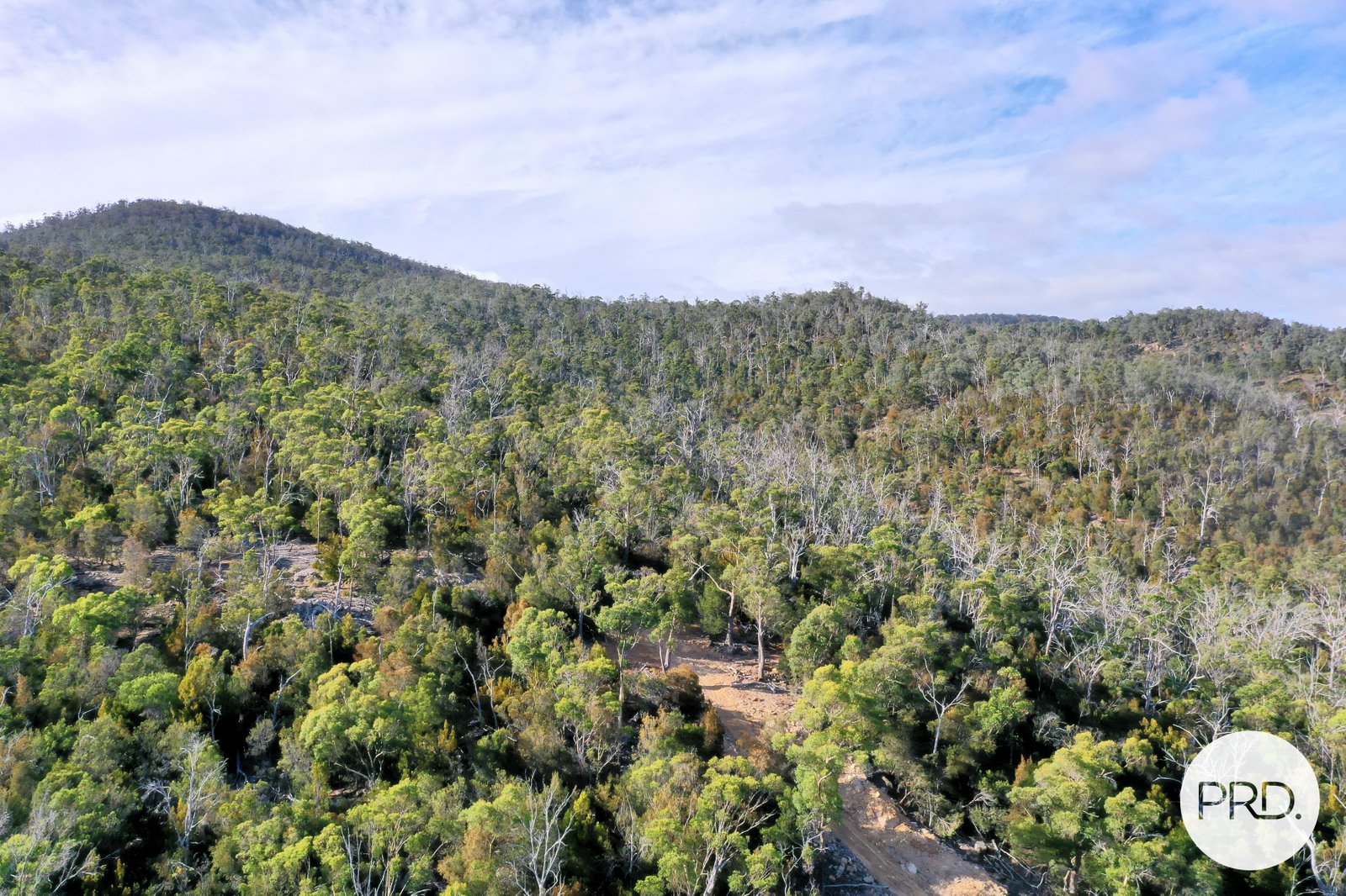 482 Molesworth Road MOLESWORTH 12