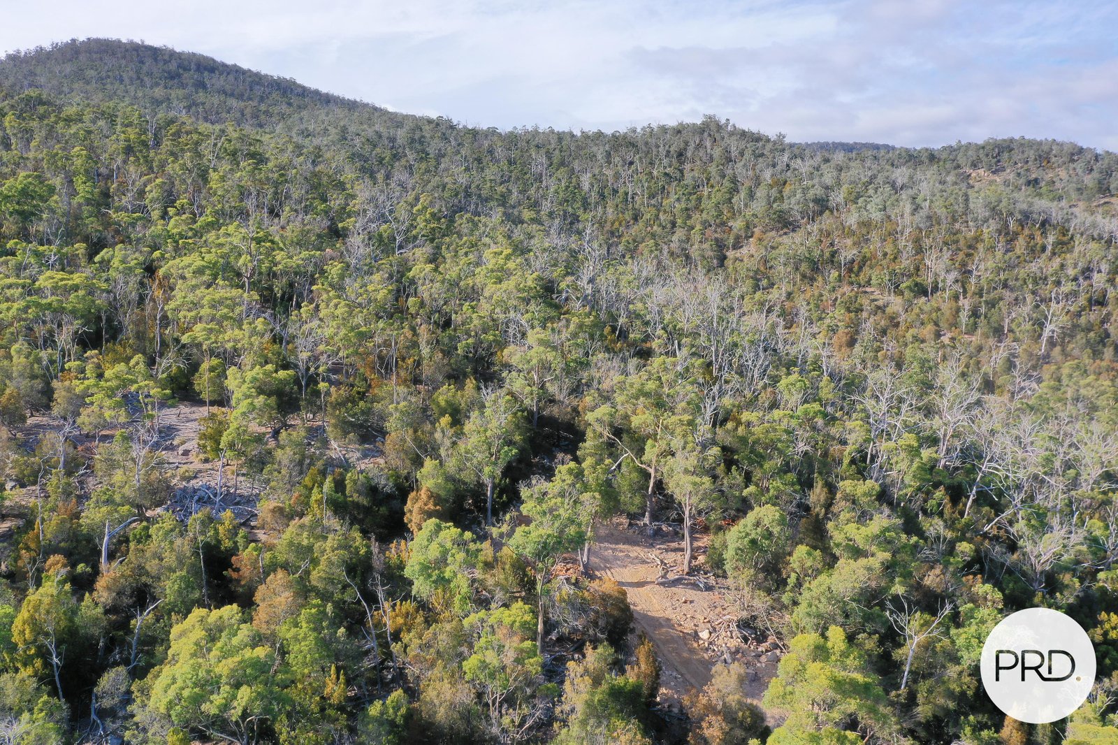 482 Molesworth Road MOLESWORTH 13