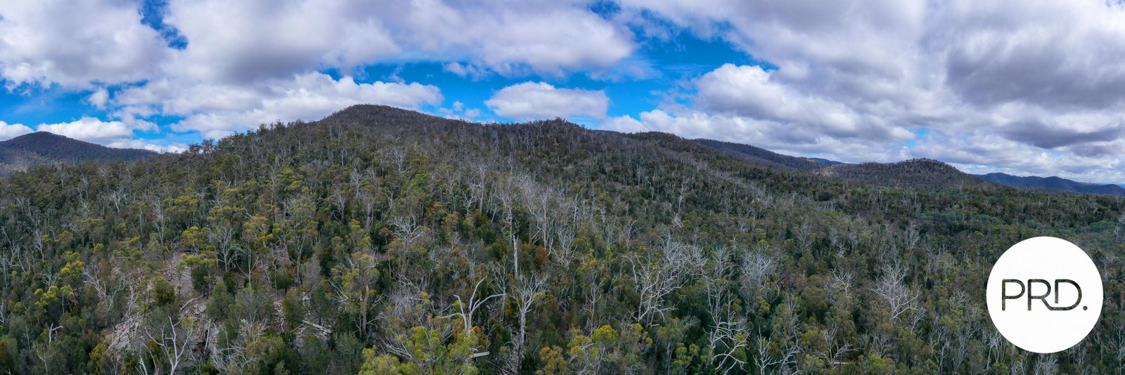 482 Molesworth Road MOLESWORTH 18