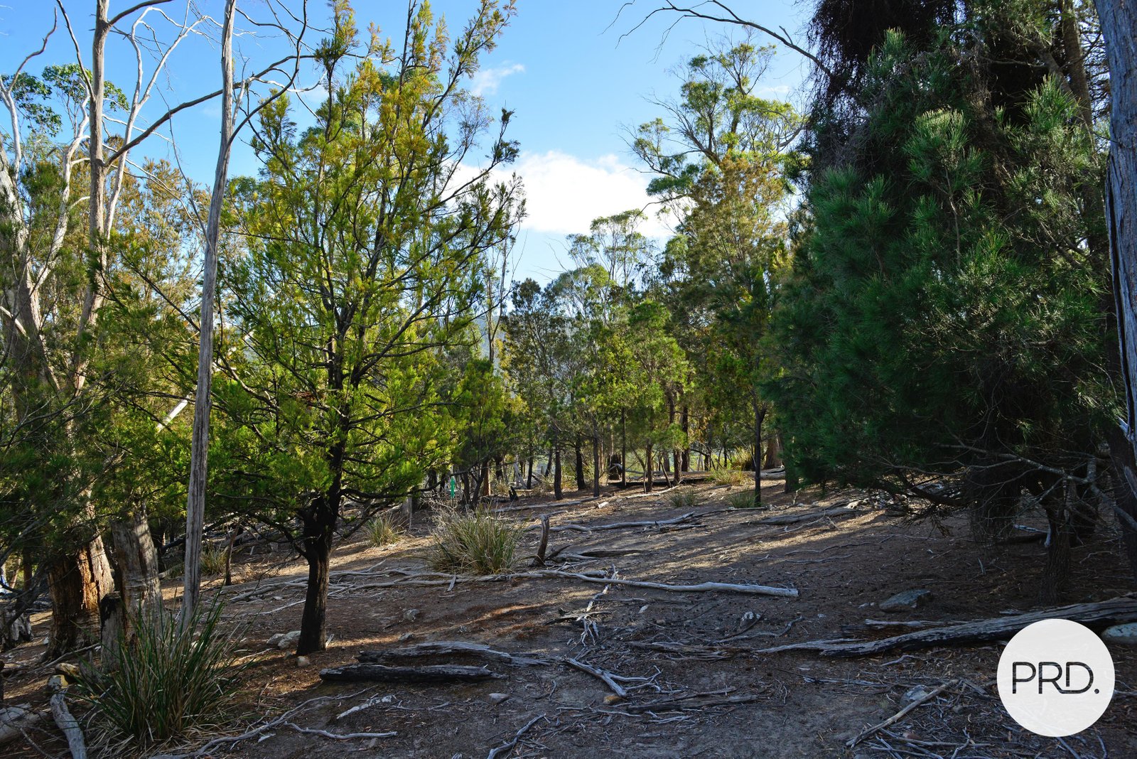 482 Molesworth Road MOLESWORTH 20