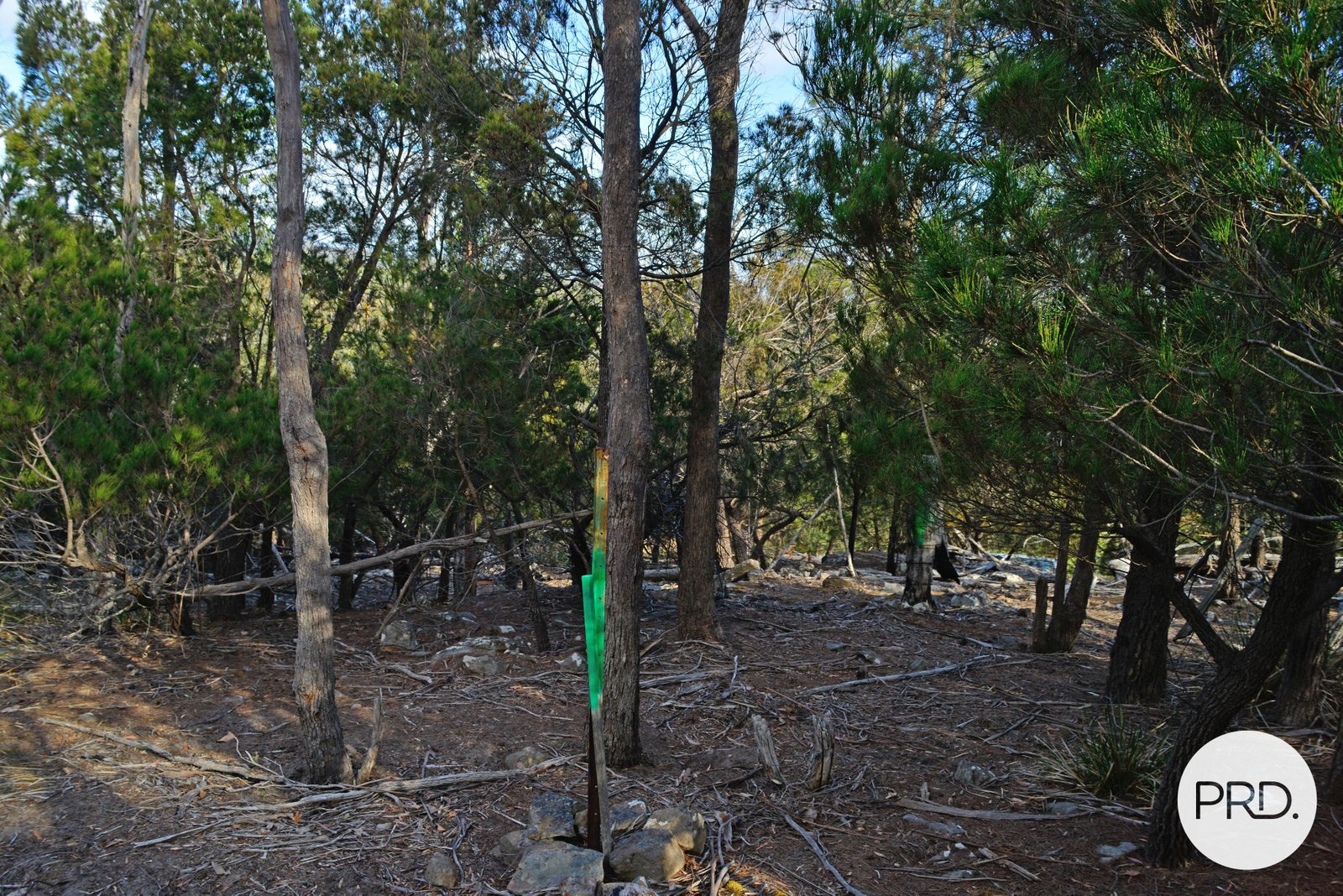 482 Molesworth Road MOLESWORTH 21