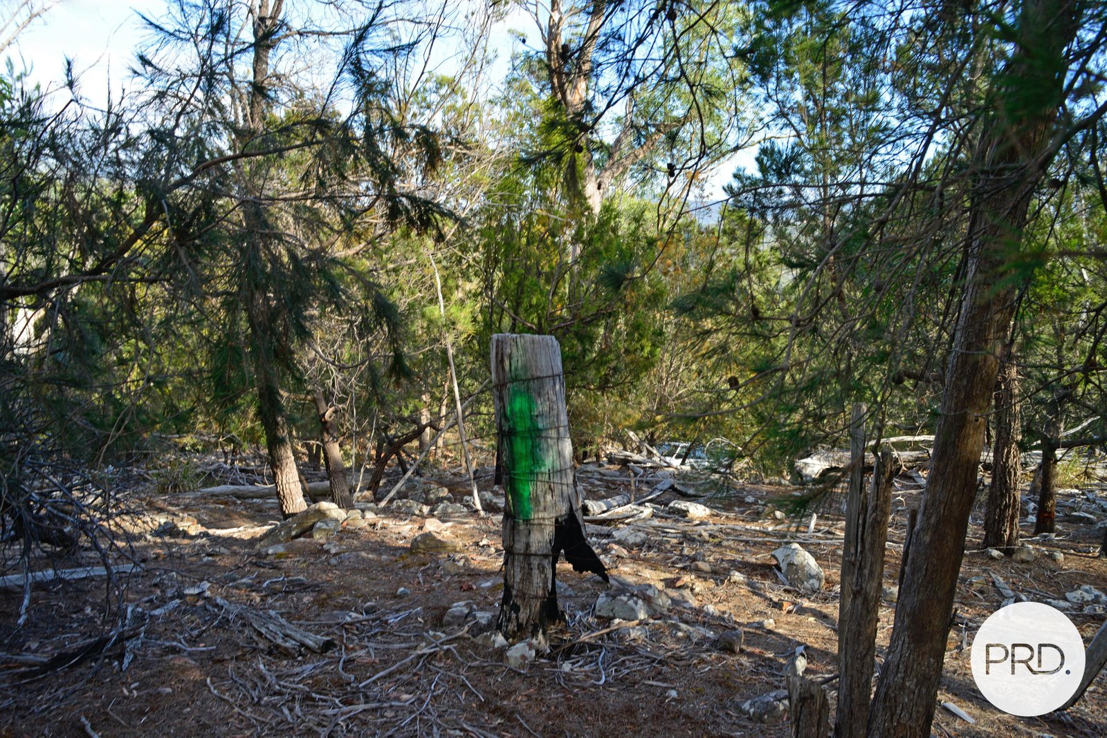 482 Molesworth Road MOLESWORTH 22