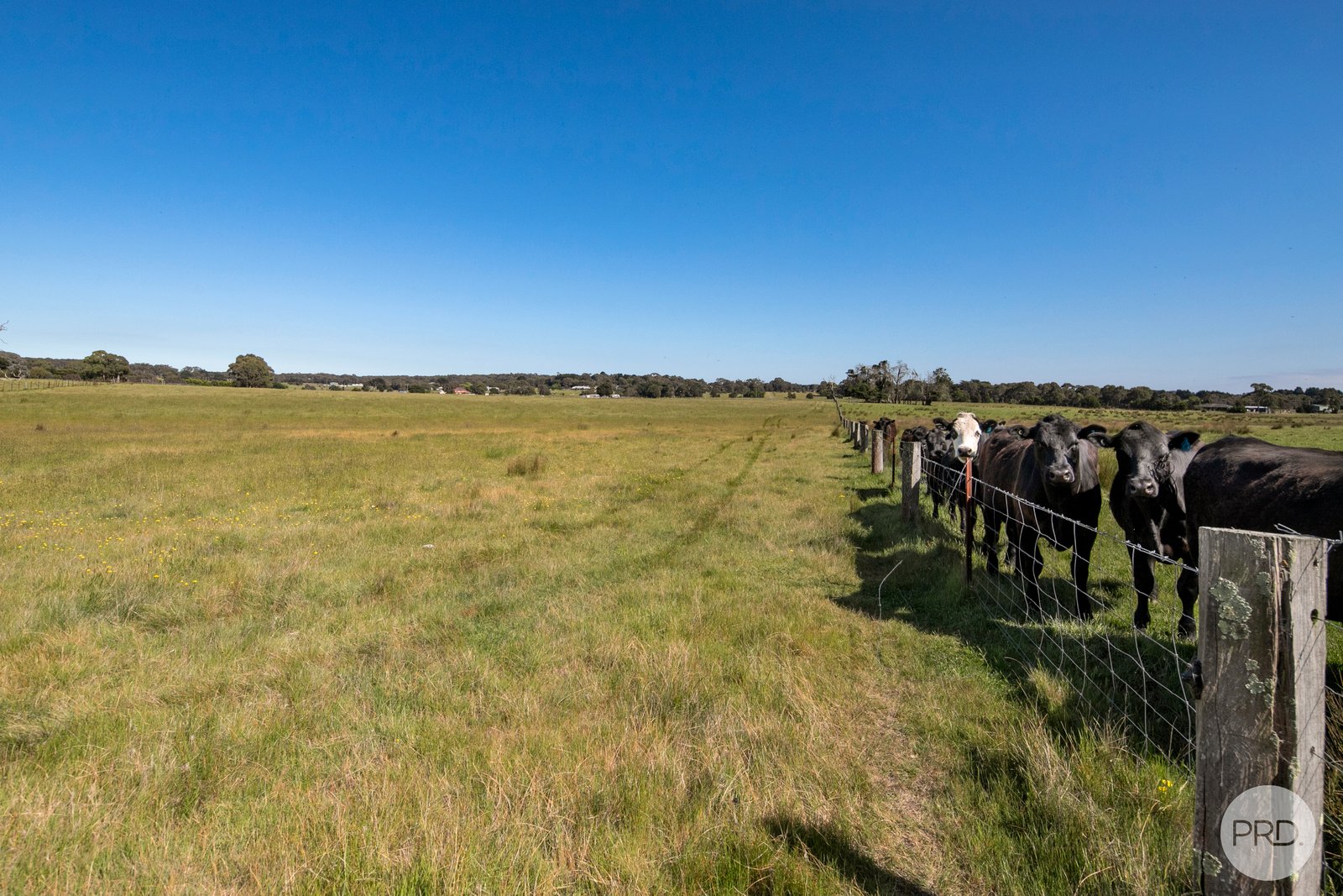 809 Glenelg Highway SMYTHES CREEK 7