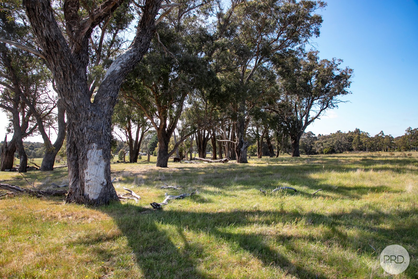 809 Glenelg Highway SMYTHES CREEK 9