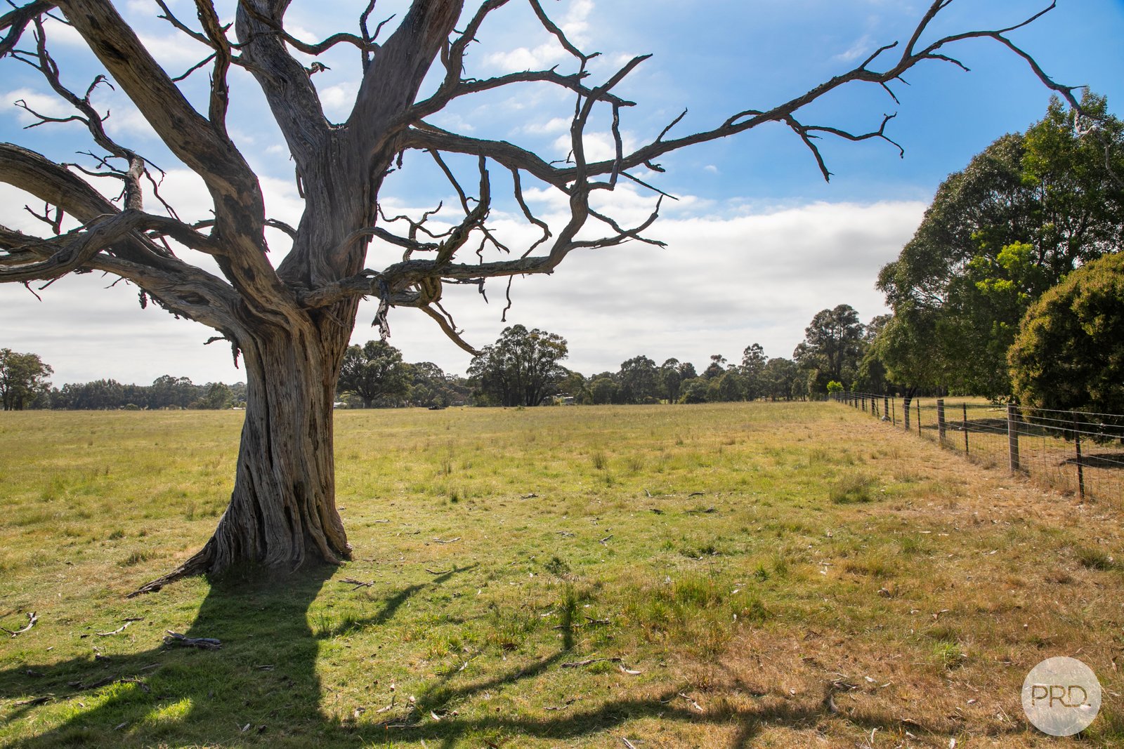 809 Glenelg Highway SMYTHES CREEK 10