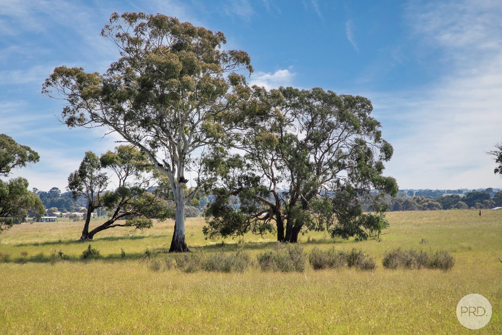 809 Glenelg Highway SMYTHES CREEK 11