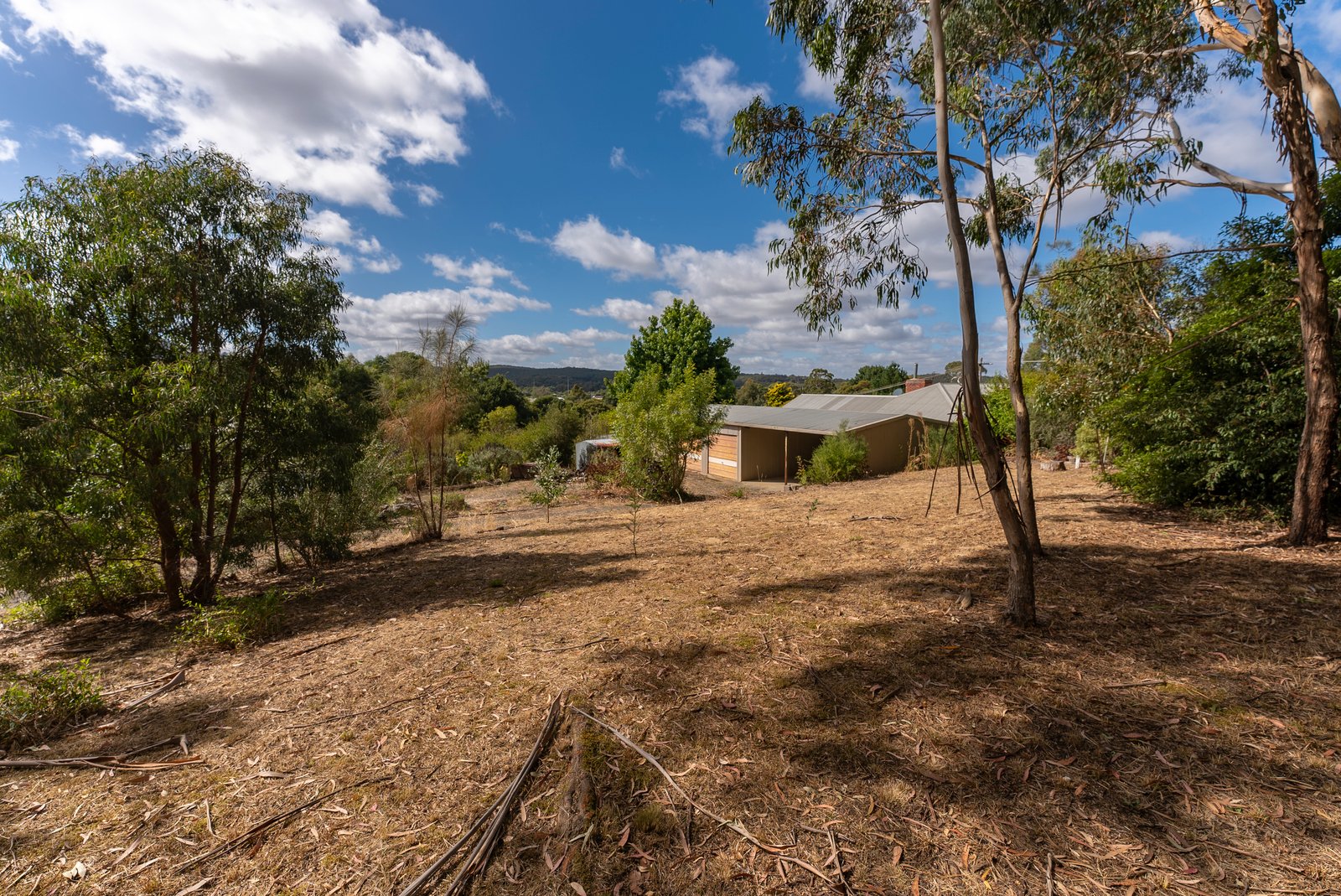 Gallery: 903 Cathcart Street