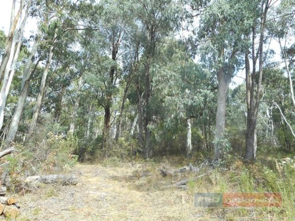 Lot 3 Alta Villa Road BATLOW 2