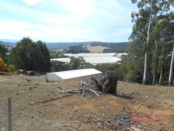 Lot 3 Alta Villa Road BATLOW 4