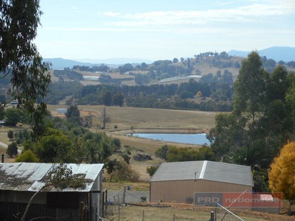 Lot 3 Alta Villa Road BATLOW 5