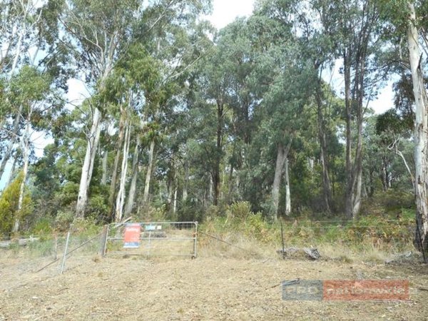 Lot 3 Alta Villa Road BATLOW 6