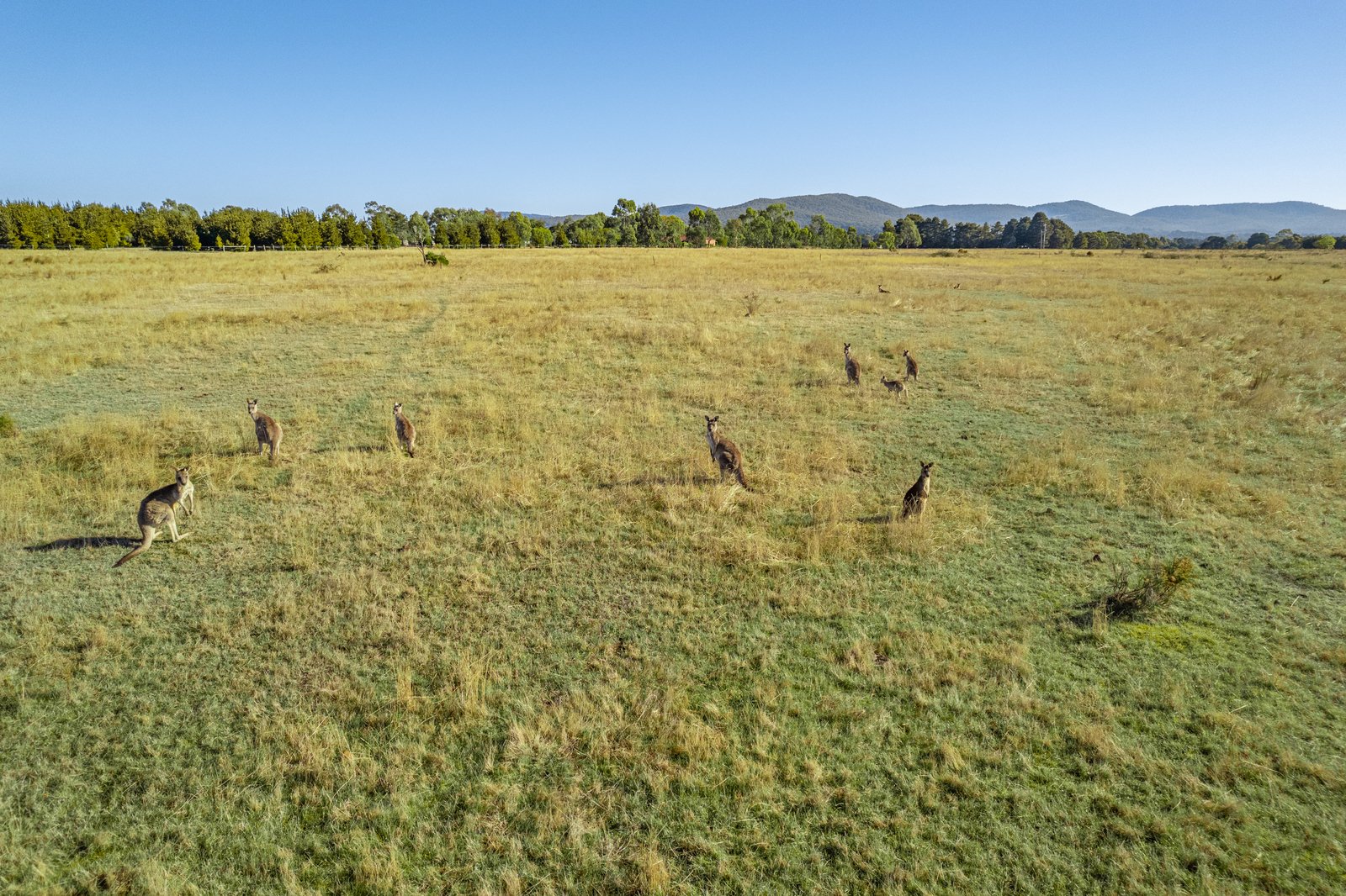 Real Estate and Property in Lot 3 Campbell Road, Riddells Creek, VIC