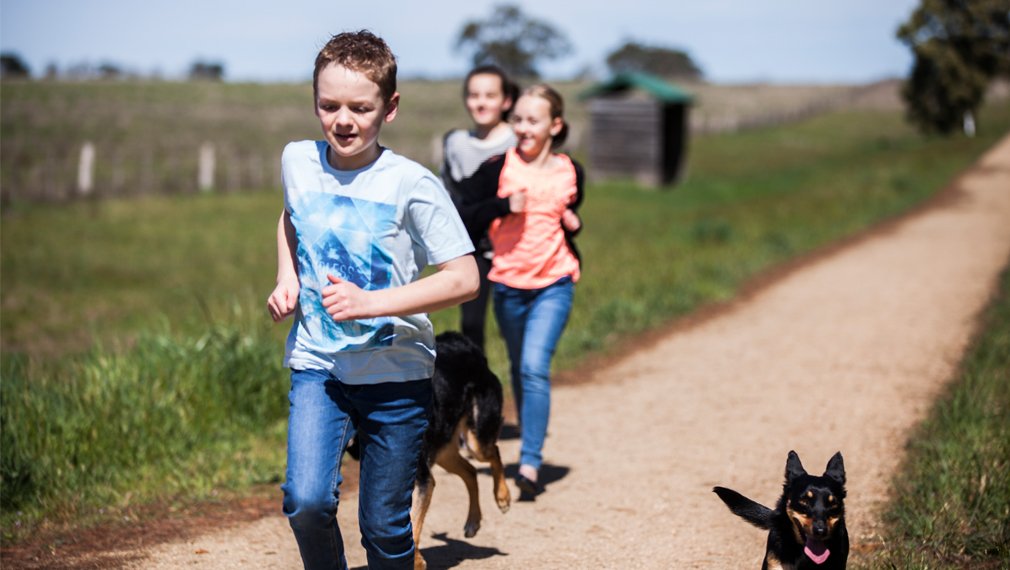 Lot 3 Cuthberts Road ALFREDTON 2