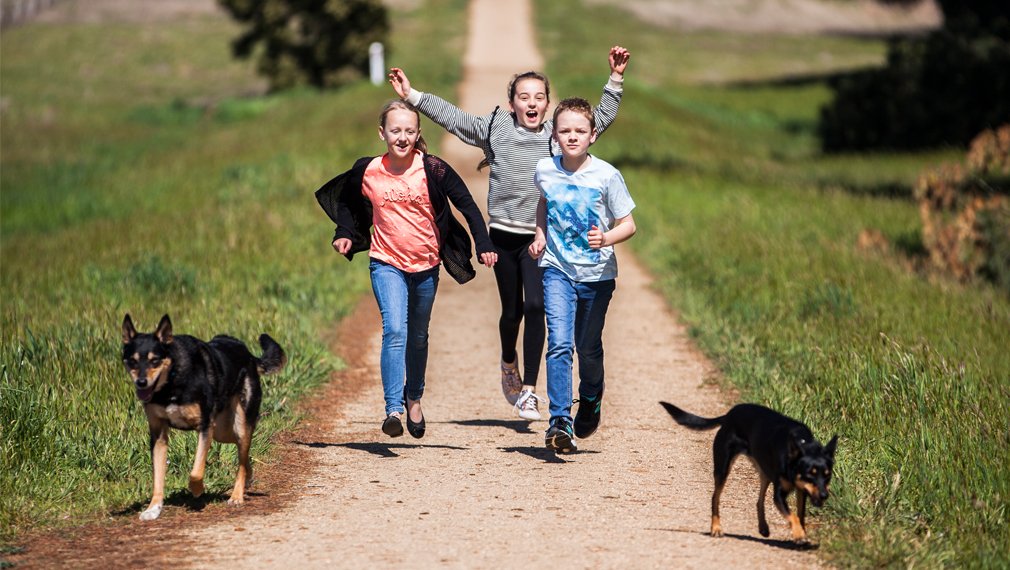 Lot 3 Cuthberts Road ALFREDTON 3