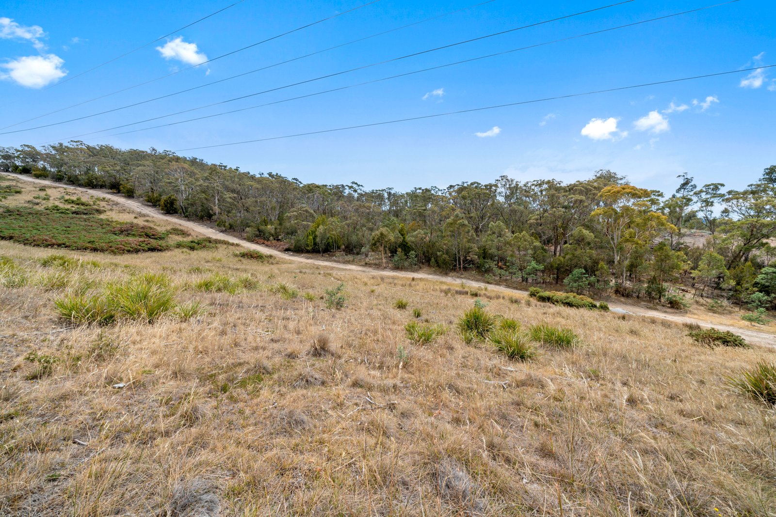 Lot 3 Kensington Street NEW NORFOLK 16