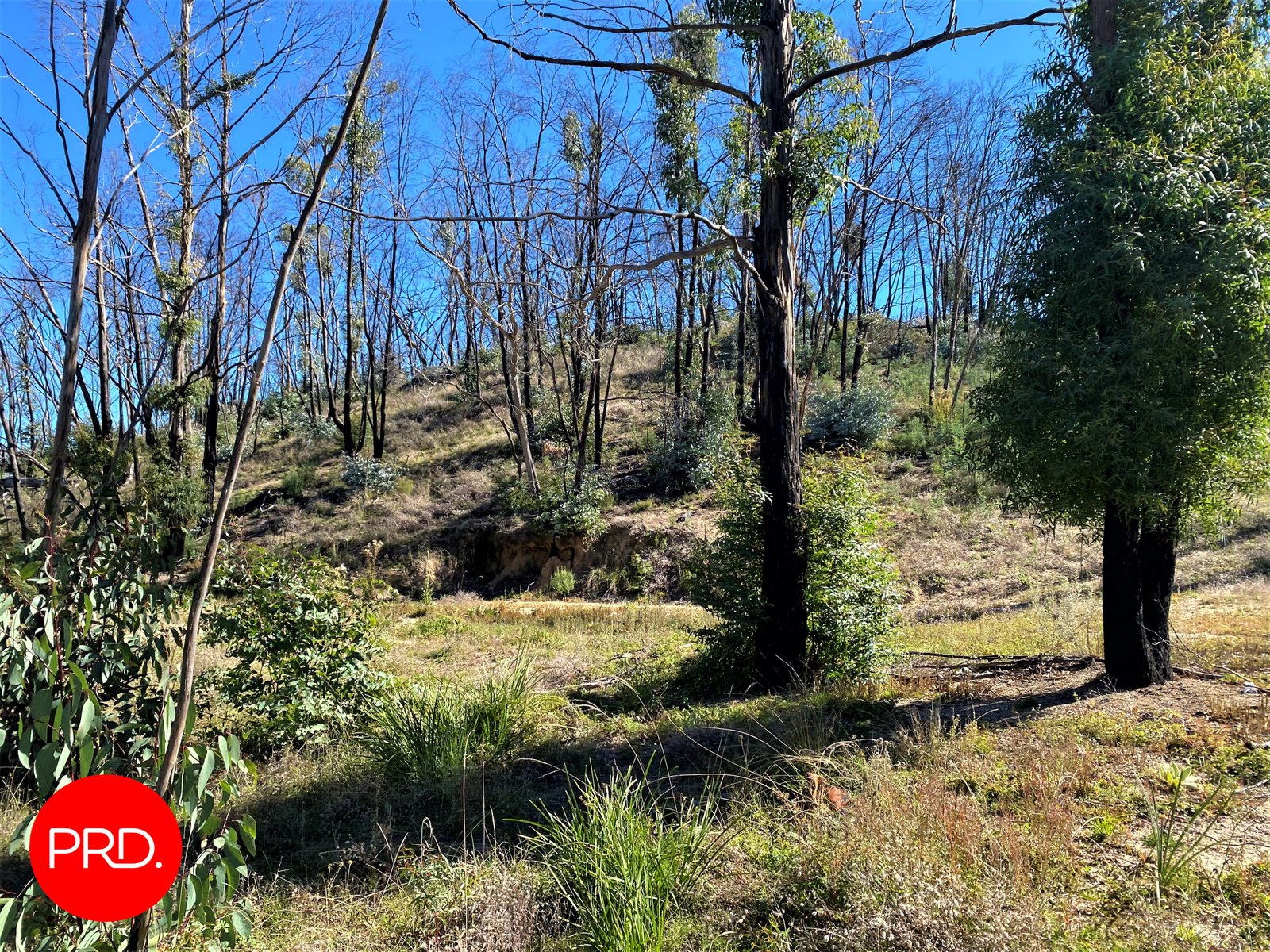 Lot 3, Peak View Road JERANGLE 4