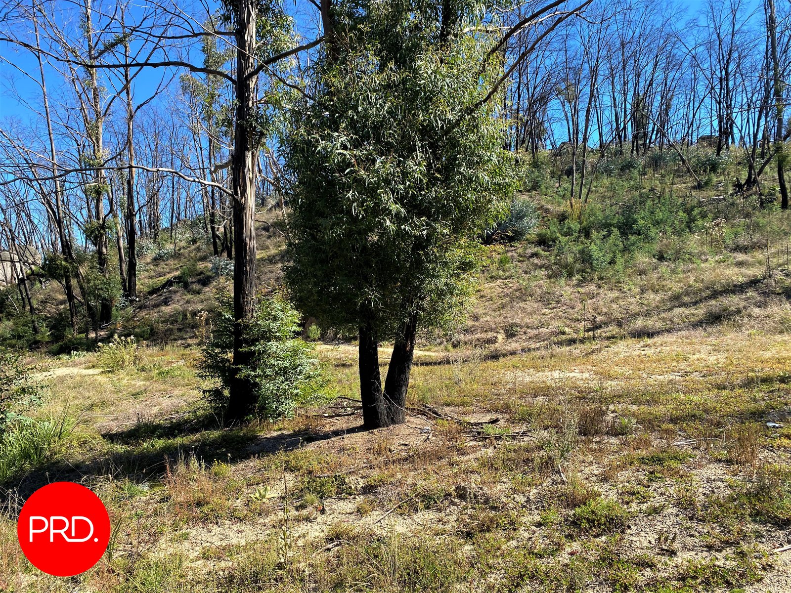 Lot 3, Peak View Road JERANGLE 5