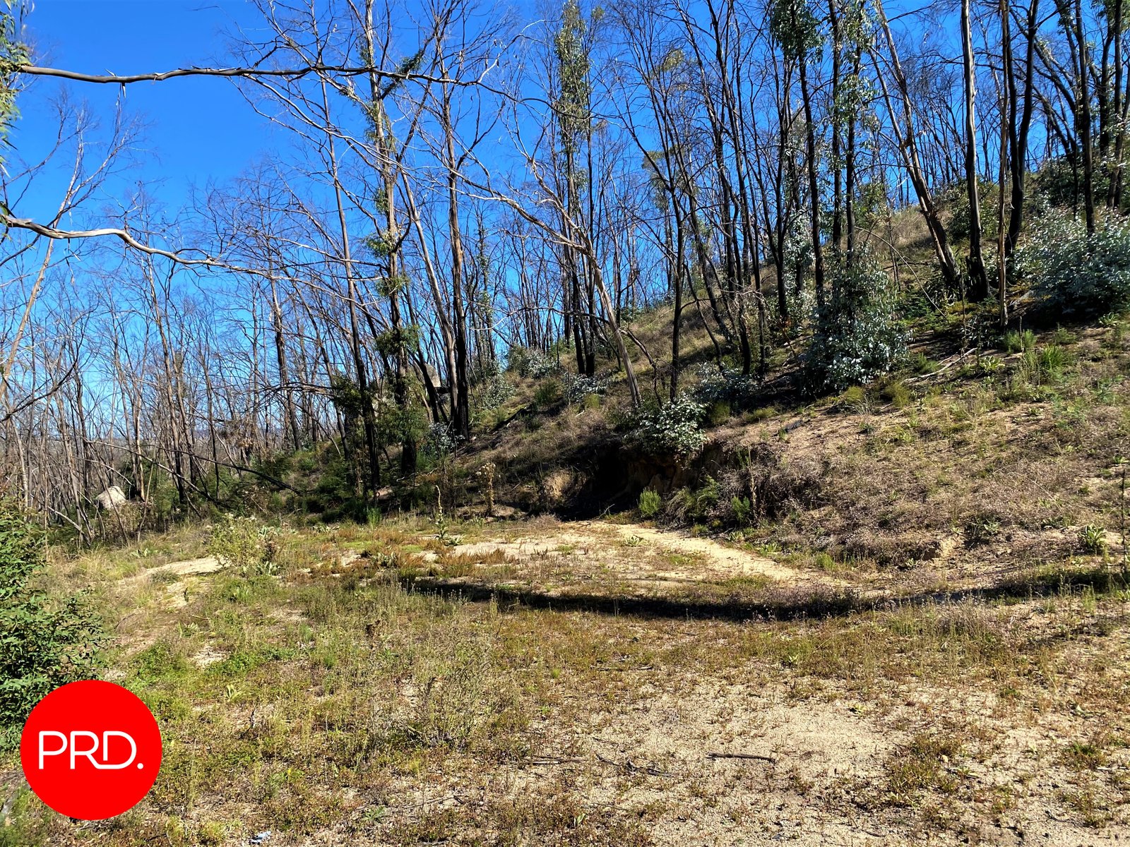 Lot 3, Peak View Road JERANGLE 6