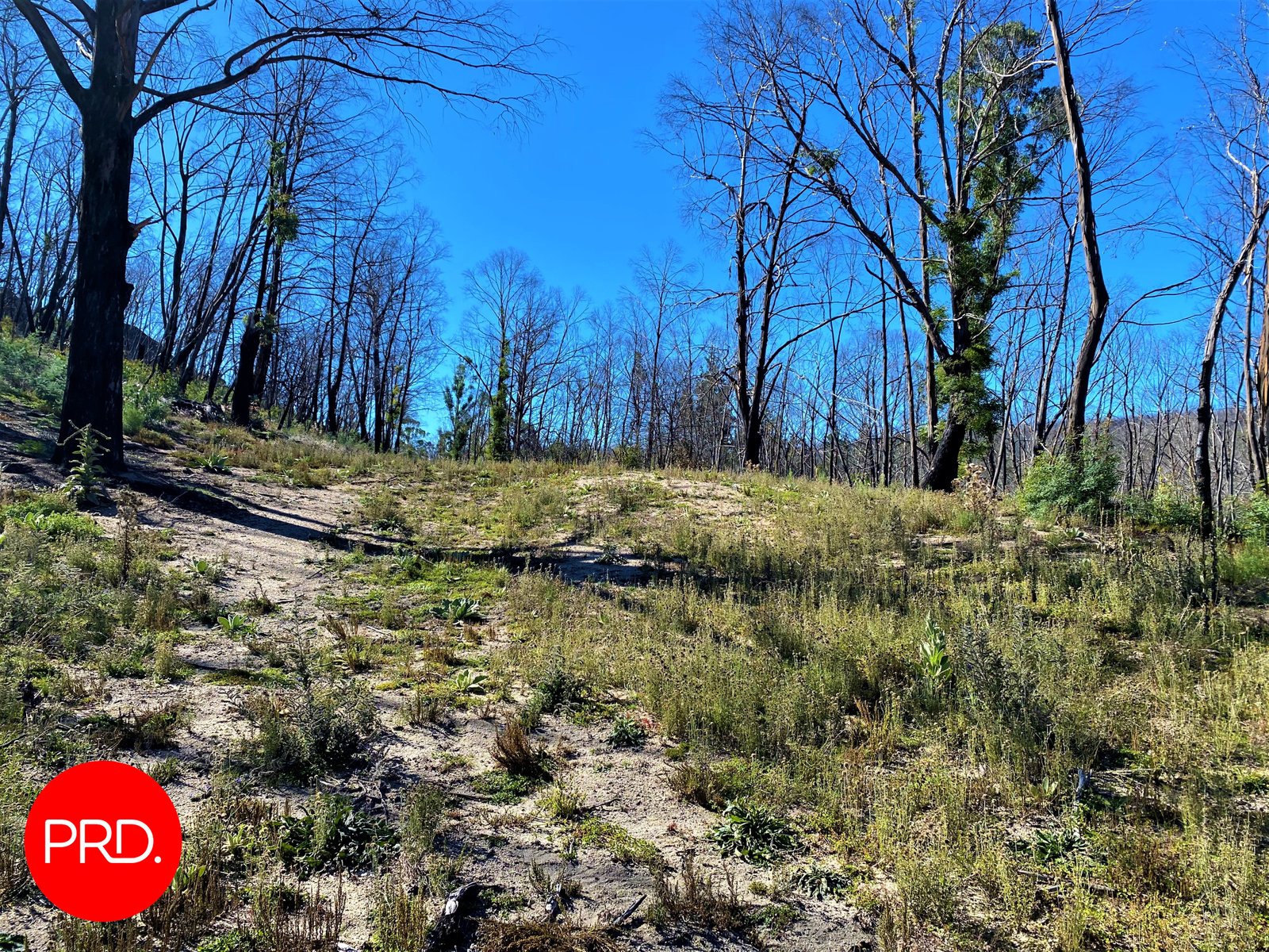 Lot 3, Peak View Road JERANGLE 7