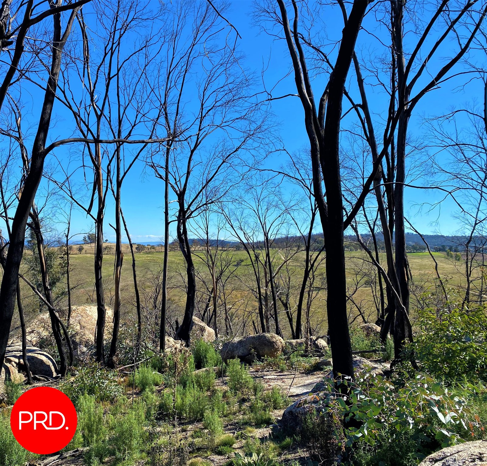 Lot 3, Peak View Road JERANGLE 8