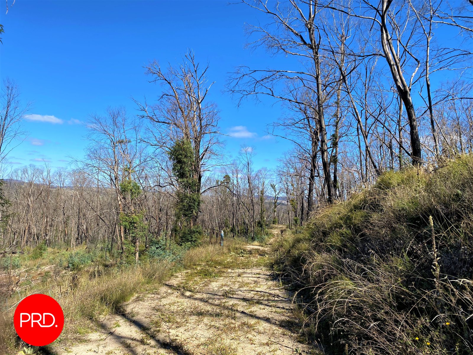 Lot 3, Peak View Road JERANGLE 9