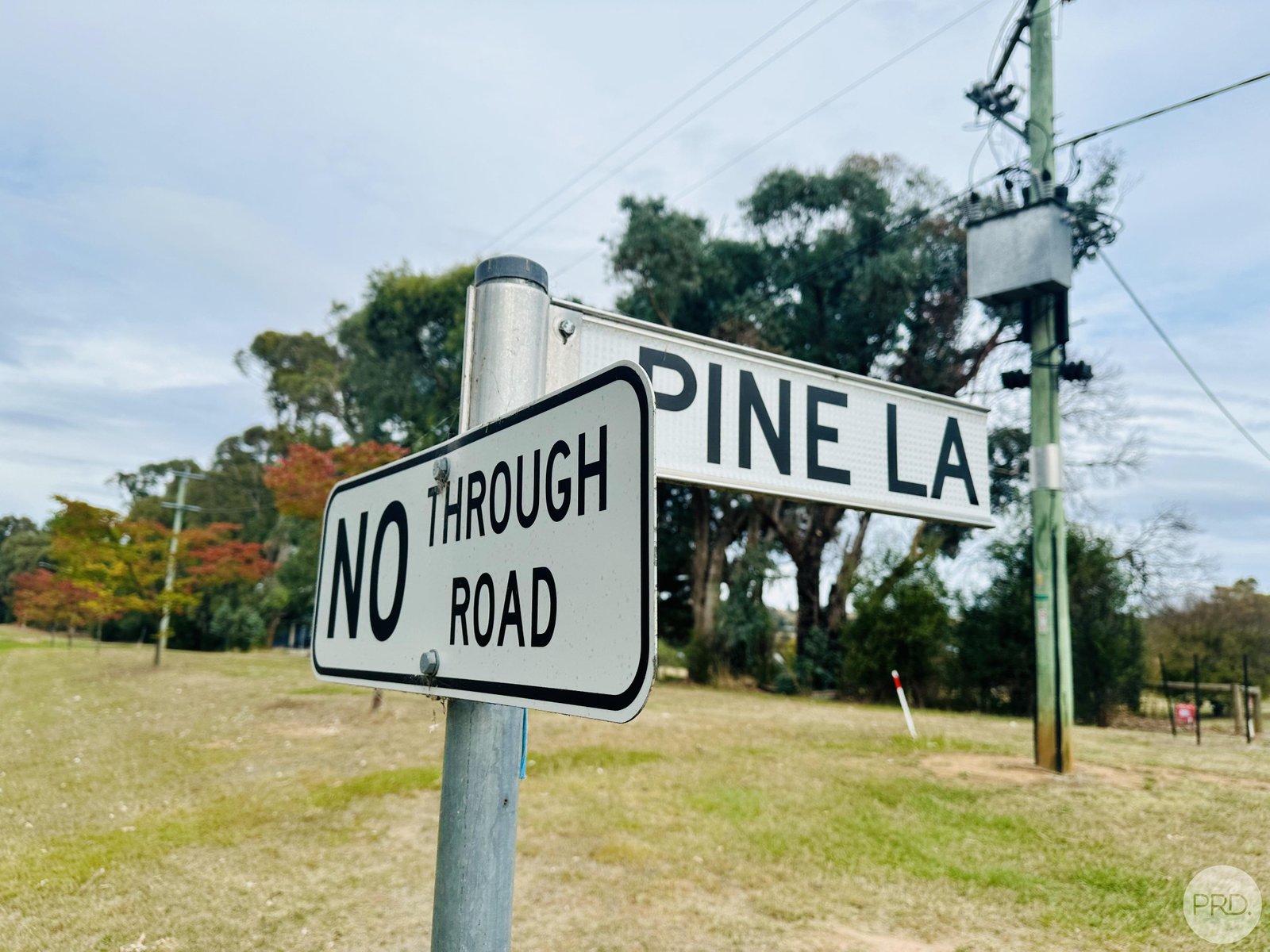  Pine Lane TUMBARUMBA 26