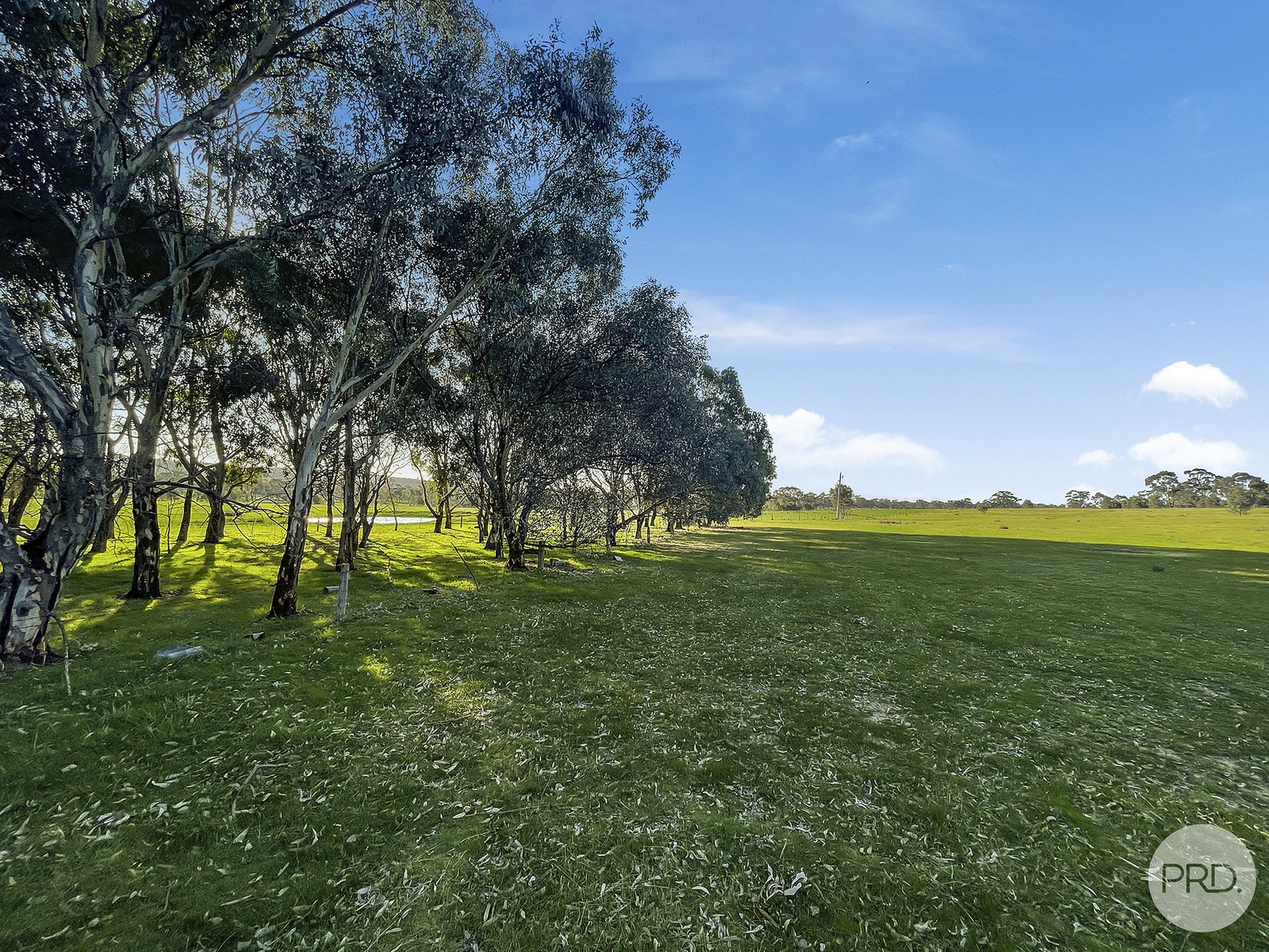 Lot 3 Red Box Drive AXE CREEK 4