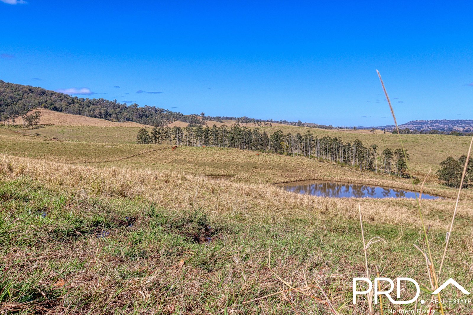 Lot 30, 46 Lynches Creek Road WIANGAREE 8