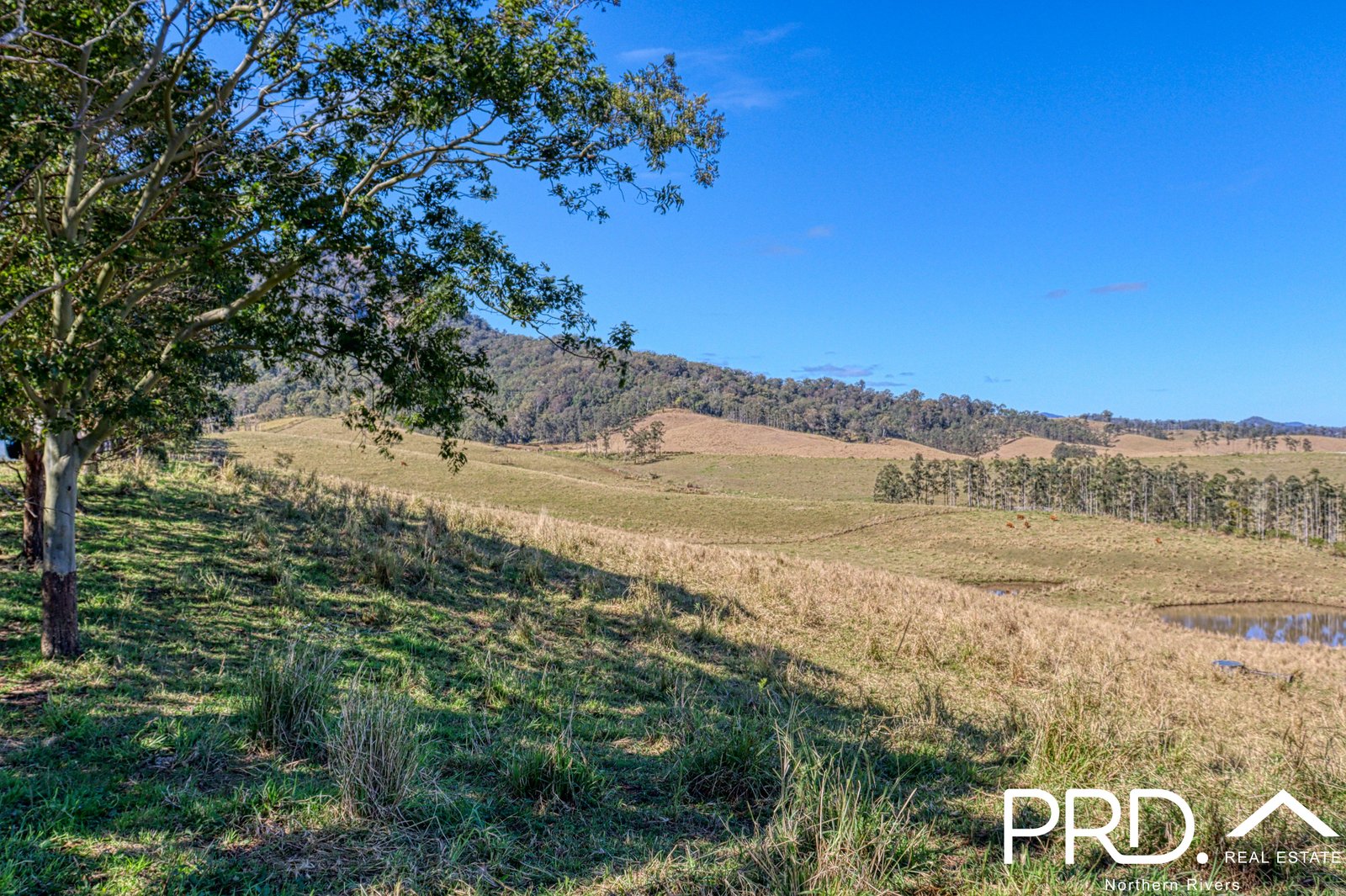 Lot 30, 46 Lynches Creek Road WIANGAREE 10