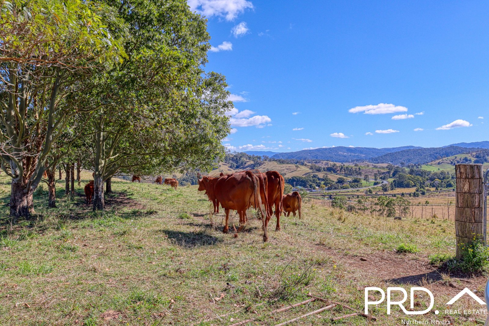 Lot 30, 46 Lynches Creek Road WIANGAREE 11