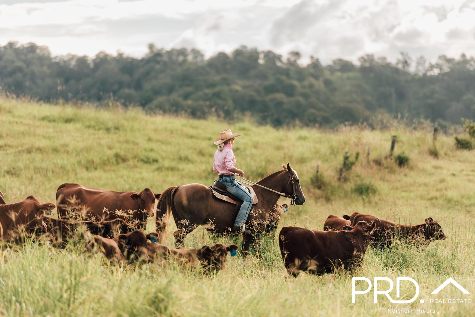 Lot 30, 46 Lynches Creek Road WIANGAREE 14