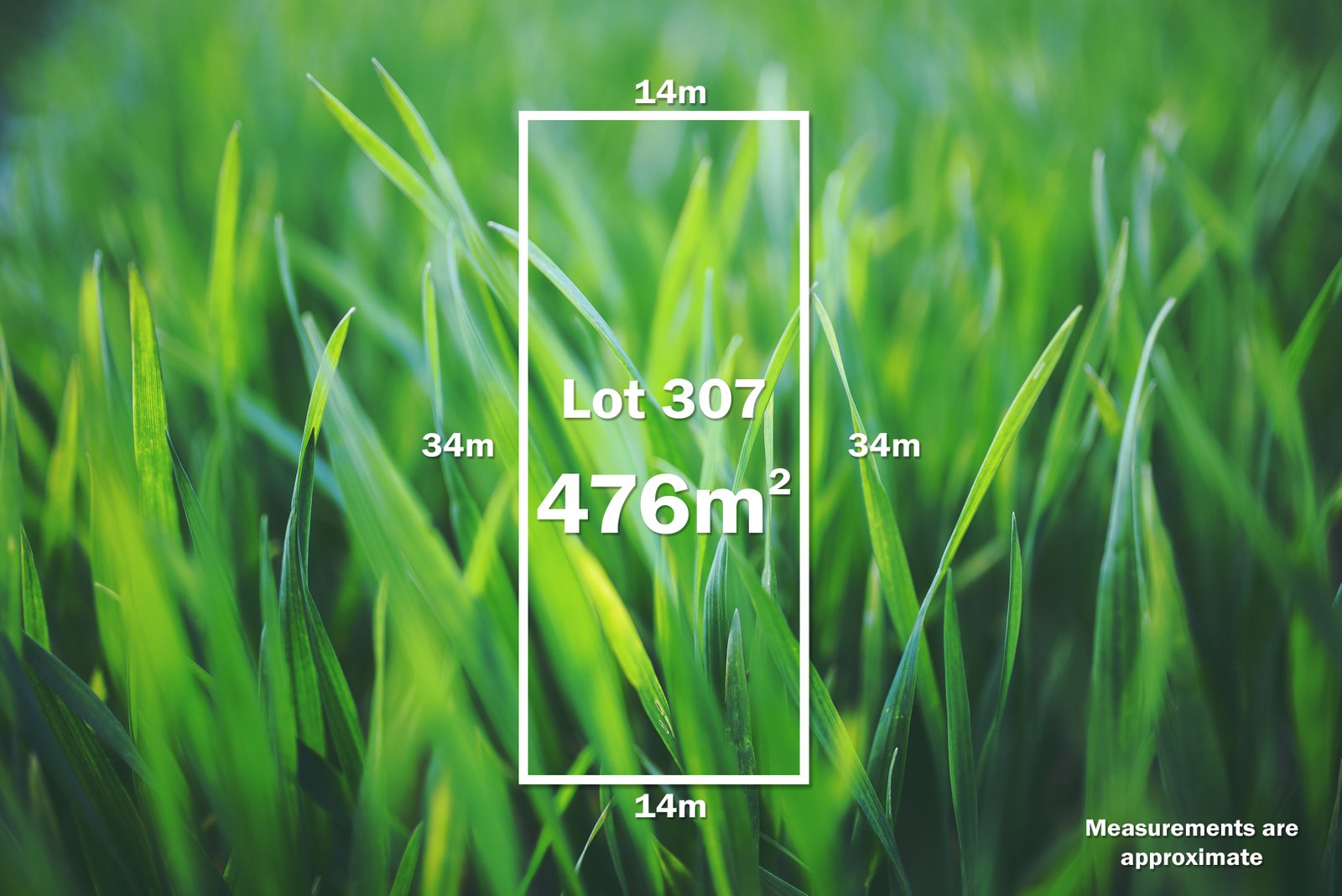 19 Stork Street WINTER VALLEY 1