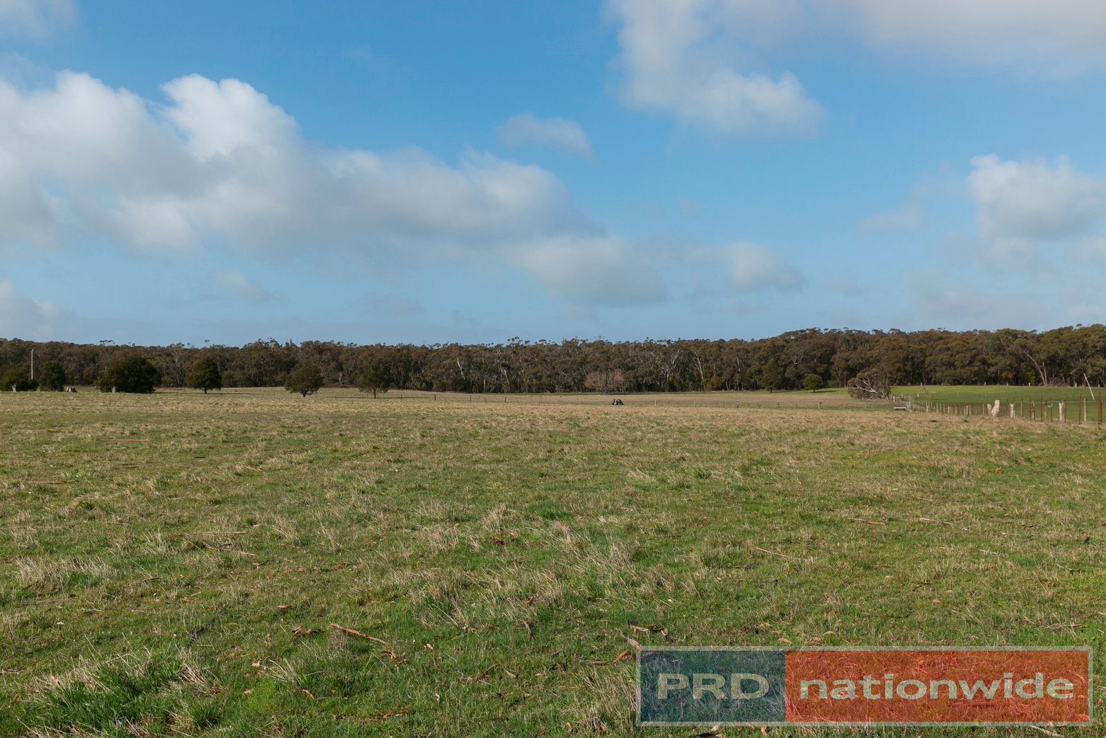 157 Haywood Road LAL LAL 4